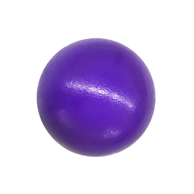 Bal van het de Spronghockey van ISO Antiwear Lage, 6 Duim Met een laag bedekt Schuim Dodgeballs