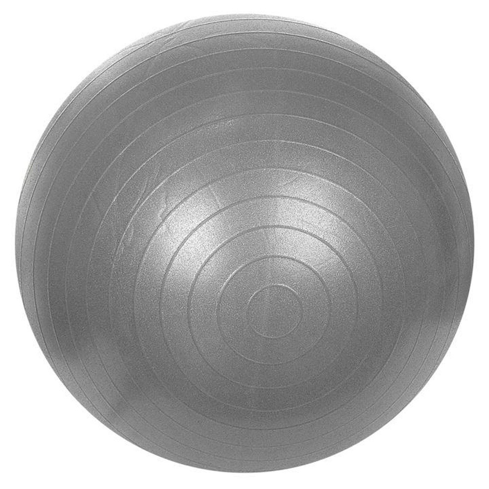 65cm Onschadelijke de Yogabal van pvc Lichtgewicht voor Gewogen Stabiliteit